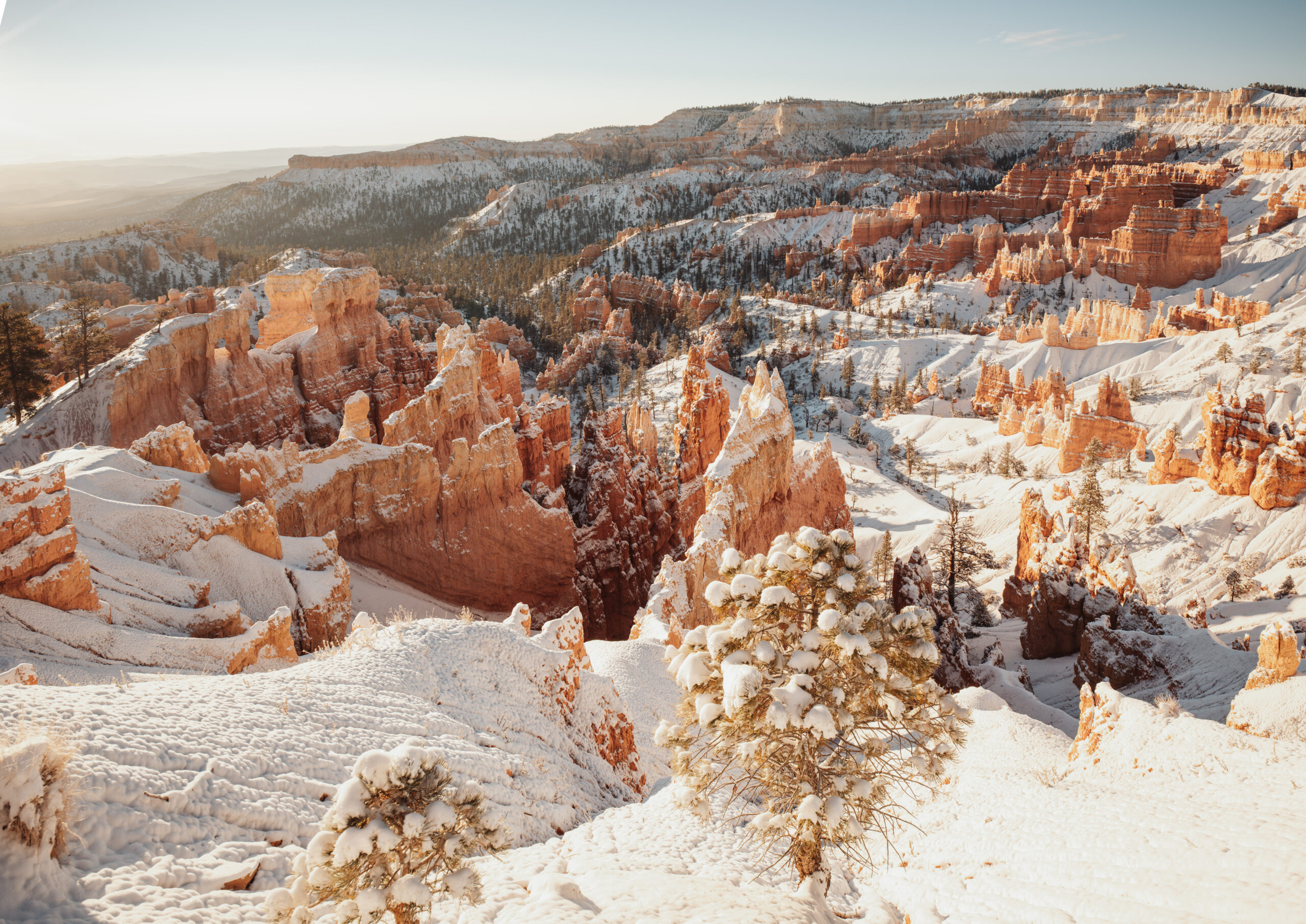 Corby at Bryce Canyon -9